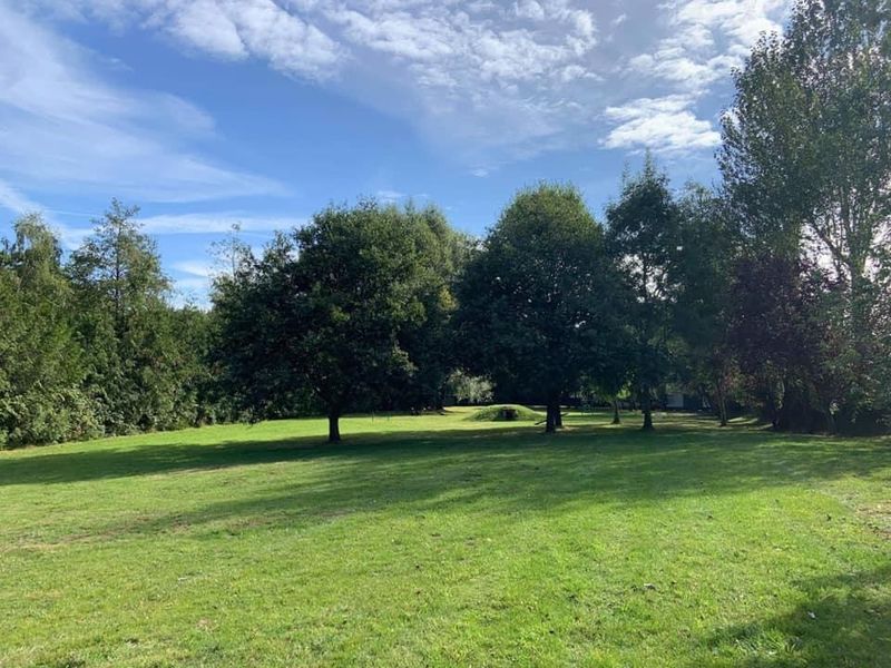 £11 for 50 mins (up to 3 dogs)